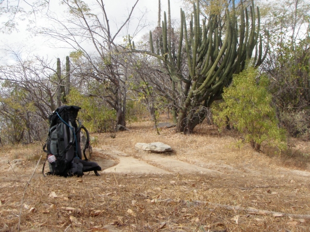 Excursiones en naturaleza